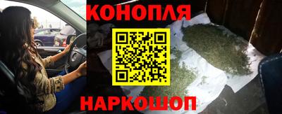 каннабис Будённовск
