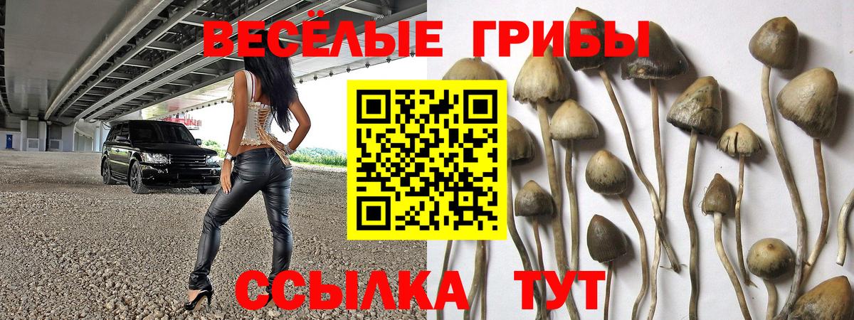 МЕФ кристаллы  Мирный  ГАШИШ  Конопля  Вход с VPN  НБОМе  Гашиш  МЕТАМФЕТАМИН 