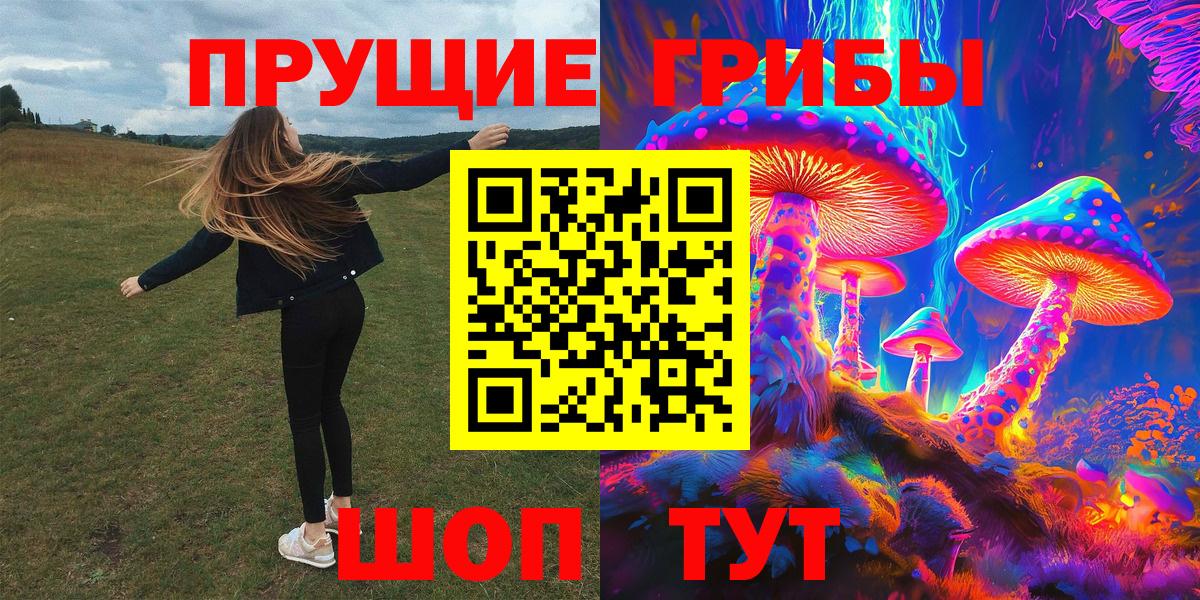 Псилоцибиновые грибы GOLDEN TEACHER  Вход с VPN  Псилоцибиновые грибы Cubensis  Мирный 